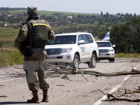 Контактная группа по Украине не согласовала отвод сил в районе Донбасса - ảnh 1